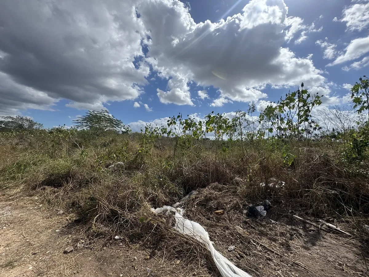 Terreno en venta en Santa Gertrudis Copo, Mérida | ideal para proyectos