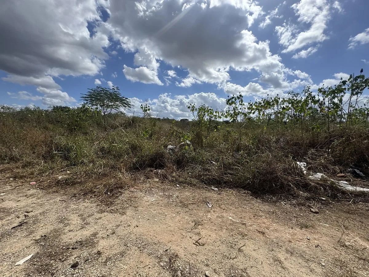Terreno en venta en Santa Gertrudis Copo, Mérida | ideal para proyectos