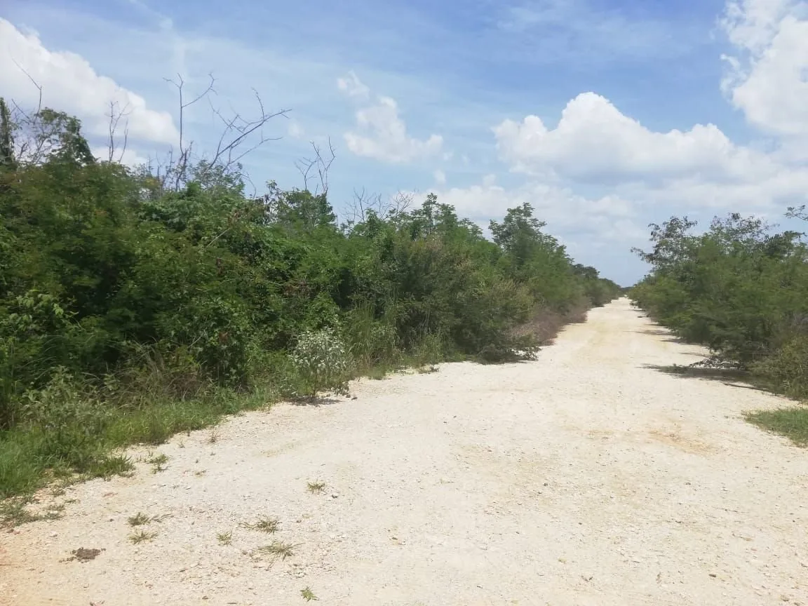 MERIDA - TERRENO